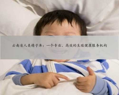 云南省人类精子库：一个专业、高效的生殖健康服务机构